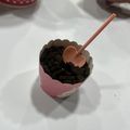 Deckard Shaw 的 免烤箱甜點輕鬆上手~巧克力奶酪盆栽!(影片食譜) cooksnap