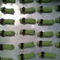 Cooksnap dari nopitahari untuk resep Cartepilar cookies (kue kekinian, tanpa mixer)