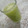 El cooksnap de Anareli Morales cuando hizo Jugo verde.