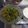 Sonal Karia's cooksnap of when they made ગ્રીન ગાર્લિક મગ (Green Garlic Moong Recipe In Gujarati).