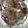 Kalyani Ramanathan's cooksnap of when they made ராகி சேமியா (காரம்) (Raagi semiya recipe in ntamil).