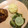 Xinia Davies's cooksnap of when they made Pan Seared Pork Chops.