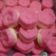 Cooksnap dari anjelly untuk resep Bolu kukus simpel
