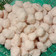 Cooksnap dari Rahmi Fadhlia untuk resep Bakso Udang Kenyal Tanpa Backing Powder Resep: Xanderskitchen