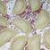 Cooksnap dari Rannia Nezya untuk resep Pastel Sayuran Kulit Renyah walau dingin