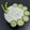 Reshma Tailor's cooksnap of when they made કાકડી નું રાઇતું (Cucumber Raita Recipe In Gujarati).