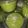 Cooksnap dari Deya Wisandra untuk resep Pudding Lumut Pandan