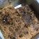 Cooksnap dari Great Charoline untuk resep Bolu spons keju (modifikasi dari nutricake brownis keju)