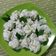 Cooksnap dari Abniana Abdullah untuk resep Klepon tepung ketan