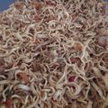 Cooksnap dari Dapurnya Mama Rina🥰 untuk resep Mie goreng padang