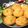 Kajal Ankur Dholakia's cooksnap of when they made જોધપુર ની પ્યાજ કચોરી(jodhpur ni pyaj kachori recipe in Gujarati).