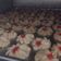 Cooksnap dari tiya pangestika untuk resep Cookies Dahlia (Semprit)