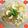 Jayshree G Doshi's cooksnap of when they made સાબુદાણા ની ખીચડી (Sabudana Khichdi Recipe In Gujarati).