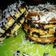 Cooksnap dari Yaya Chaniago untuk resep Dorayaki mini
