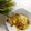 Cooksnap Noraini Hamid semasa beliau membuat Spanish Omelette Ala Rasa Sifu.