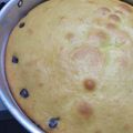 El cooksnap de Ariel cuando hizo Torta dulce fácil con pasas (opcional).