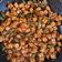 Cooksnap dari endahpuspita untuk resep Oseng Tempe Udang Pedas Manis