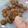 Cooksnap dari Felicia Anjani untuk resep Crunchy Chocochip Cookies