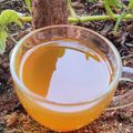 Asma Parveen's cooksnap of when they made இஞ்சி எலுமிச்சை பிளாக் டீ (Inji elumichai black tea recipe in tamil).