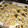 El cooksnap de Jenny Rubisz cuando hizo Galletas caseras.