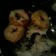 El cooksnap de Ashe Britez cuando hizo Rosquitas.