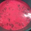 Cooksnap Ola.alO z czasów, kiedy przygotował Chłodnik z botwinki.