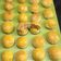Cooksnap dari Ratu Ryta untuk resep Nastar empuk