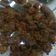 Cooksnap dari margareth dearesty untuk resep Paru balado