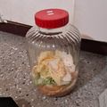 星塵 的 韓式泡菜 cooksnap