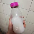 El cooksnap de Yazmin P. Ramírez cuando hizo Leche de coco casera.