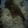 Cooksnap dari Widya Syakdiah untuk resep Killer soft bread/roti sobek