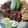 Cooksnap dari juju untuk resep #Sambal Geprek-Penyet dll