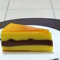 Cooksnap dari Muttinya salsa untuk resep Puding Lapis Surabaya