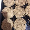 El cooksnap de Mica García cuando hizo Hamburguesas de Lenteja y Avena.