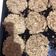 El cooksnap de Mica García cuando hizo Hamburguesas de Lenteja y Avena.