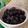 Cooksnap dari anakimmy untuk resep Bubble Pearl