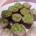 GinA 的 醬燒四季豆牛肉捲 cooksnap