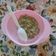 Cooksnap dari nurbudiati septiany untuk resep Oatmeal gurih n creamy (mpasi 11 bln)