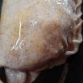 El cooksnap de gabyta cuando hizo Empanadas integrales con soja texturizada 🌱.