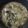 รูป Cooksnap ของ m. เมื่อเขาทำ ซุปหมูสับไข่คน