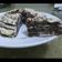 Cooksnap dari Lie Lie Bong untuk resep Matcha Mille Crepes simple