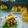 Cooksnap dari Mastika Susiana untuk resep Pao Sandwich Ayam Jamur/Pao Lipat/Pao Kempit