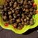 Ishani arya का कुकस्नैप जब उन्होंने चने की चाट (chane ki chaat recipe in Hindi) बनाया था।