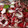 El cooksnap de alejandra cuando hizo Ensalada de pulpo.