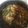 El cooksnap de desdelatierra2 cuando hizo Mejillones en escabeche.