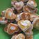 Cooksnap dari eka nurjanah untuk resep Cookies selai kacang