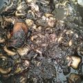 Cooksnap dari idasah untuk resep Cumi Tinta Hitam