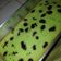 Cooksnap dari Faridatul Hasanah untuk resep Cake 'mama'