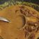 El cooksnap de Marsel cuando hizo Butter Chicken (Murgh Makhani) (मुर्ग मखनी).