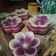 Cooksnap dari Tri Yunianti untuk resep Lapis Hunkwe